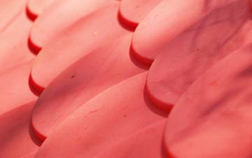 Charlton Adam plastic roof costs